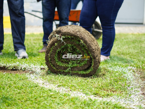 ¡Inició el cambio de césped! Engalanan el estadio Morazán y tendrá nuevo alumbrado ¿cuándo habrá gradería nueva?