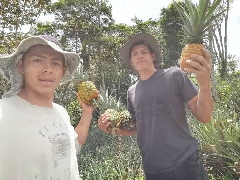 Hermano de Francisco Martínez se destaca como árbitro y sueña con encontrarse con él en Liga Nacional: “Sería algo inexplicable”