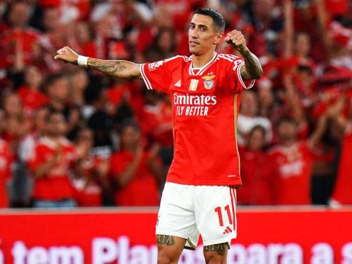 Ángel Di María es uno de los grandes referentes del Benfica.