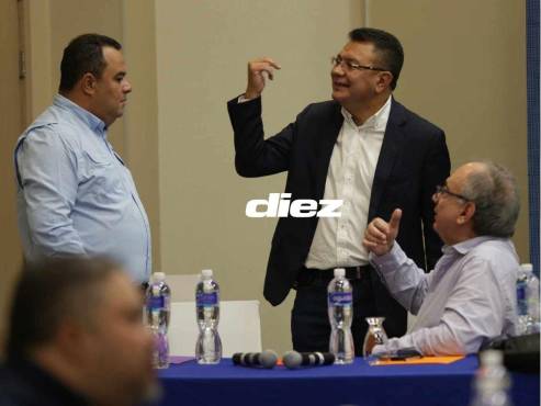 Jorge Herrera, presidente de Liga Nacional, aseveró que los nuevos inquilinos no deben ser de los municipios que ya tienen equipos en primera división. FOTO: Emilio Flores.