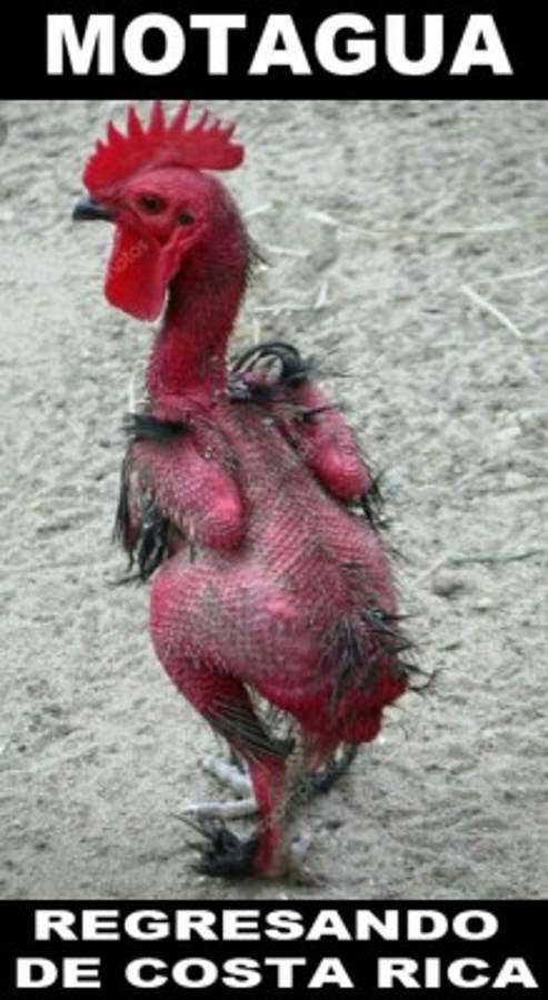 Memes no perdonan al Motagua tras perder ante Saprissa en la final de Concacaf