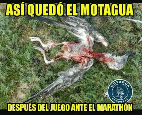 ¡Marathones no perdonan y se burlan del Motagua en memes!