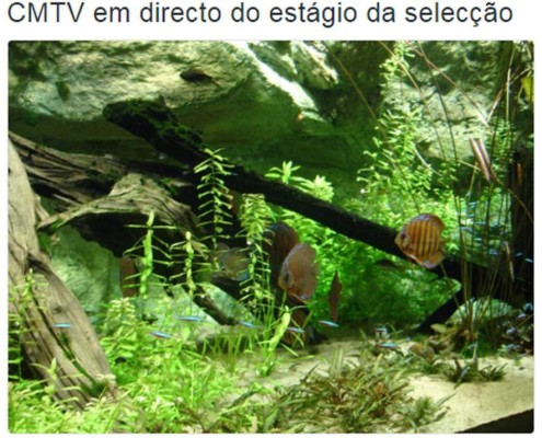 Cristiano Ronaldo, protagonista de los memes en la última semana