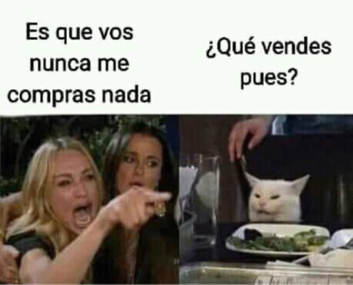 Los mejores memes del gato en la mesa y la mujer gritando, los equipos de Honduras no se salvan