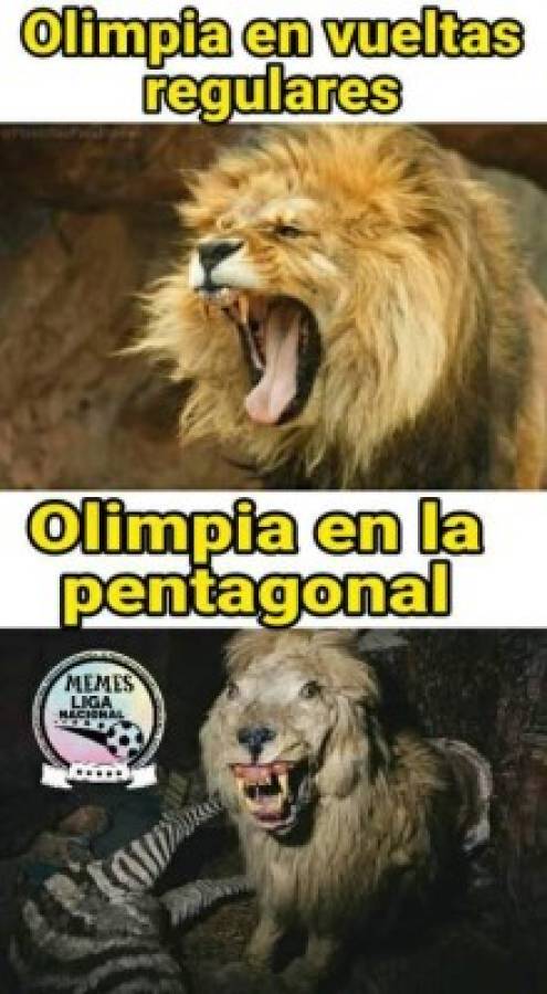 ¡Se comen al León! Los memes destrozan a Olimpia en el arranque de la Pentagonal