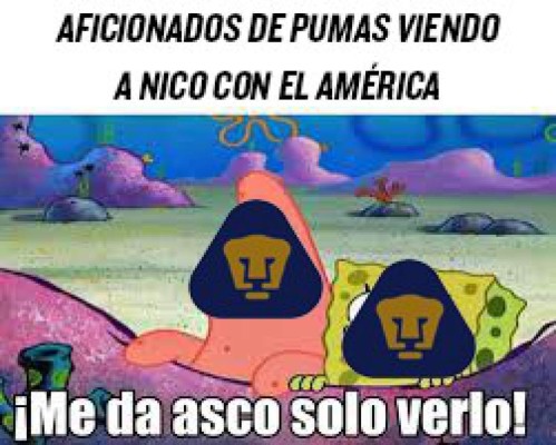 Los memes 'descuartizan' al América y Piojo Herrera tras perder contra Pumas