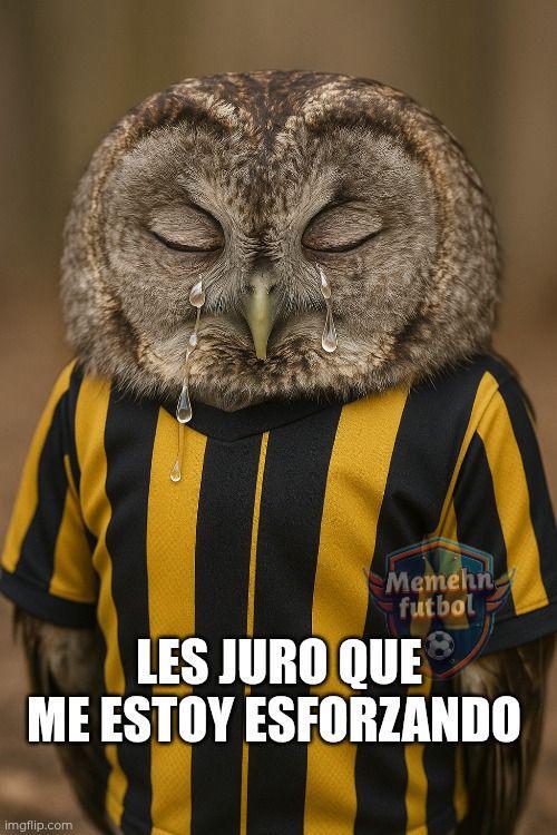 No perdonan a Buba López: los memes destrozan al Real España tras perder ante Olimpia en la final de Liga Nacional