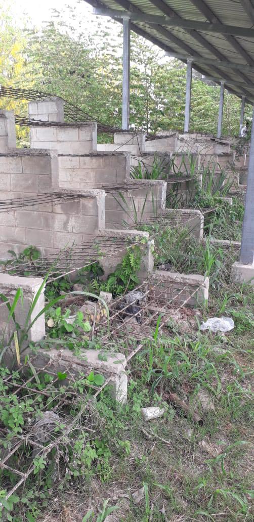 El estadio Milton Flores de La Lima en completo abandono: La detestable forma en cómo entrenan las Ligas Menores