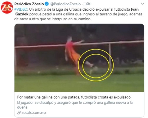 Escándalo: Futbolista croata fue expulsado por matar a una gallina en pleno partido