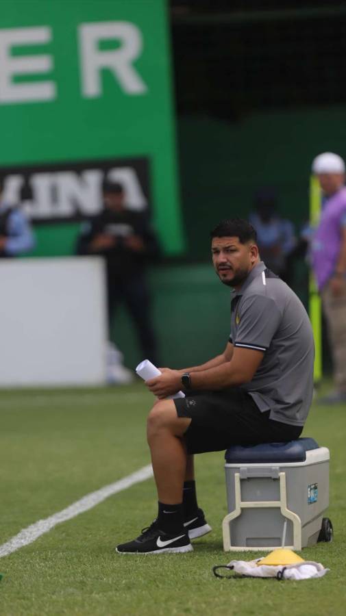 ¡Espectacular! Así luce la nueva grama del estadio Yankel Rosenthal; rectificación de medidas y 100% natural