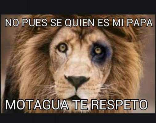 Los mejores memes de la semana