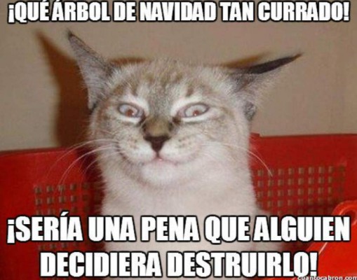 IMPERDIBLES: Los mejores y más divertidos memes de la navidad 2018