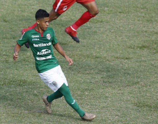 Estuvieron fuera del foco de Selección y bien podrían integrar el proceso a Qatar 2022