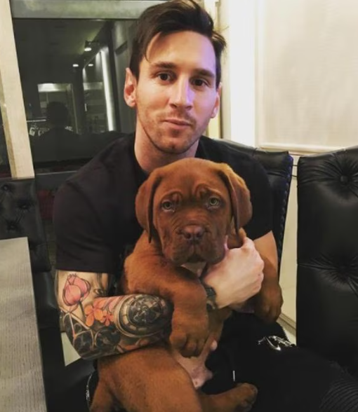 Messi contó dónde y cómo se encuentra Hulk, su gran perro valorado en 80 mil dólares