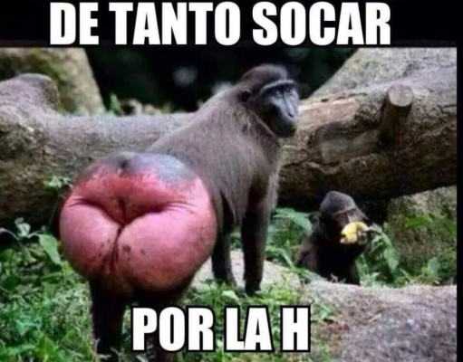 Los divertidos memes que dejó el sufrido triunfo de Honduras ante México