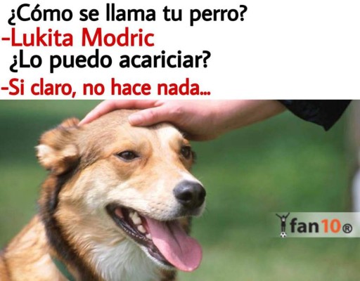 Acribillan con memes al Real Madrid tras perder en Champions ante CSKA