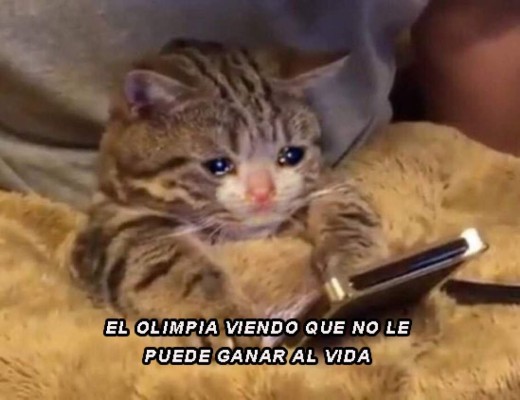 ¡Olimpia no puede ganarle al Vida! Los memes hacieron pedazos al león tras la dolorosa derrota en La Ceiba