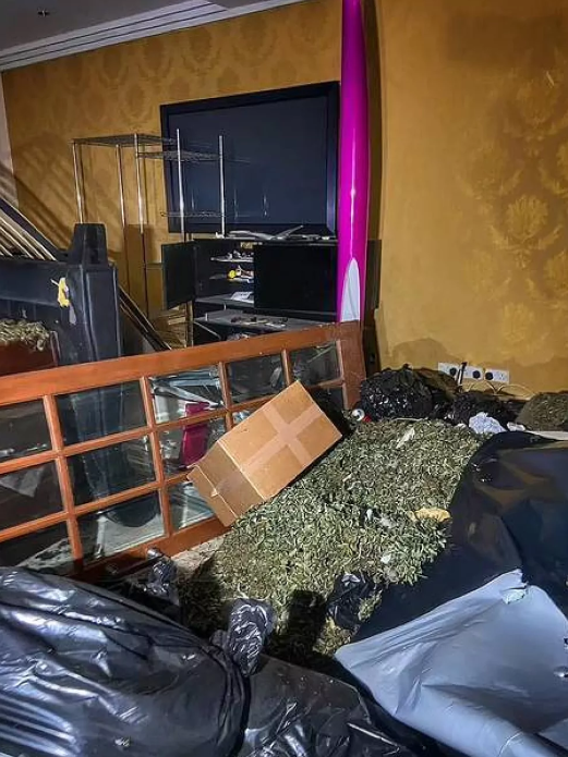 Youtuber se cuela a la mansión de un crack y se lleva tremenda sorpresa: una plantación industrial de marihuana