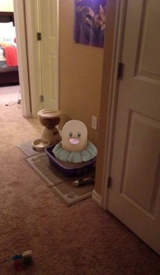 Los extraños lugares en los que han aparecido los Pokemon