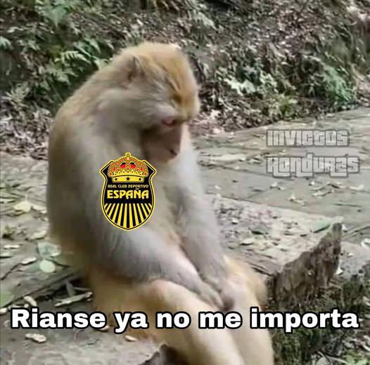 No perdonan a Buba López: los memes destrozan al Real España tras perder ante Olimpia en la final de Liga Nacional