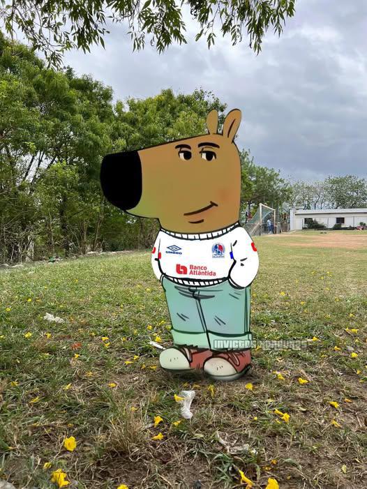 No perdonan a Buba López: los memes destrozan al Real España tras perder ante Olimpia en la final de Liga Nacional