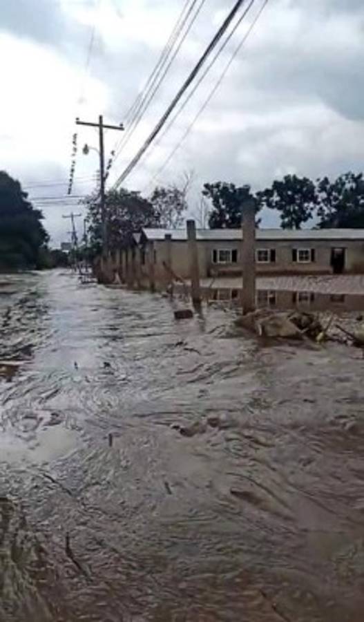 Qué terrible: La colonia en La Lima que quedó bajo el lodo tras el paso de ETA e IOTA