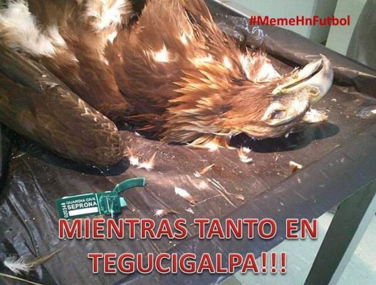 La paliza de Olimpia a Motagua arrasa con los imperdibles memes