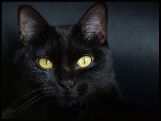 Cristiano Ronaldo con un 'muñeco': Equipos y jugadores que han sido víctimas de la brujería