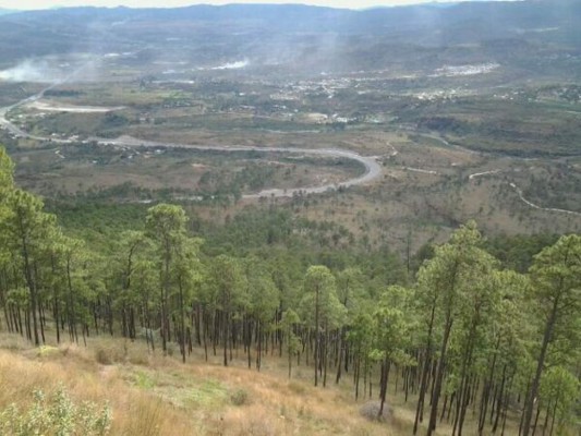 Los lugares que Motagua y Olimpia están considerando para construir su propio estadio