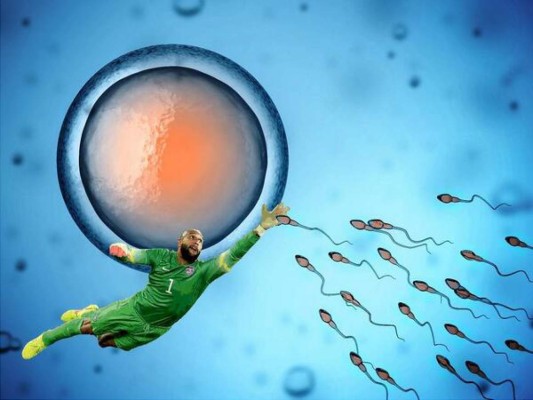 Los mejores MEMES por la brillante actuación de Tim Howard