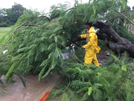 ¡Inundaciones, evacuaciones y rescates! Huracán Eta descarga su furia en territorio hondureño