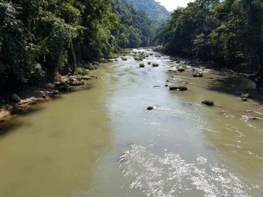 ¡Ríos limpios e irreconocibles! La otra cara de la pandemia del coronavirus en Honduras