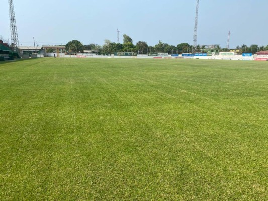 ¡El césped más verde! Así lucen los estadios de Honduras en esta cuarentena