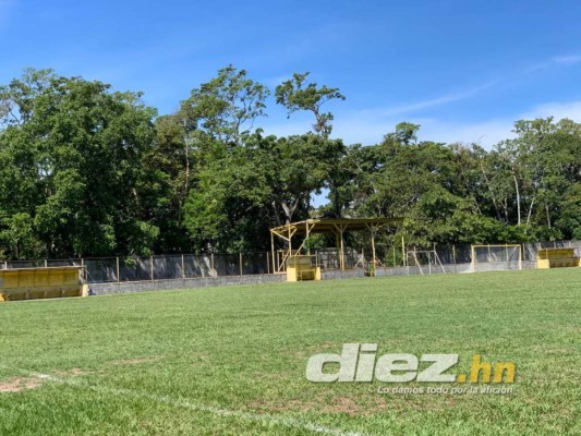 Gradería techada y cancha de primer nivel: Así será el estadio del Vida en el Campo Atlántida de La Ceiba