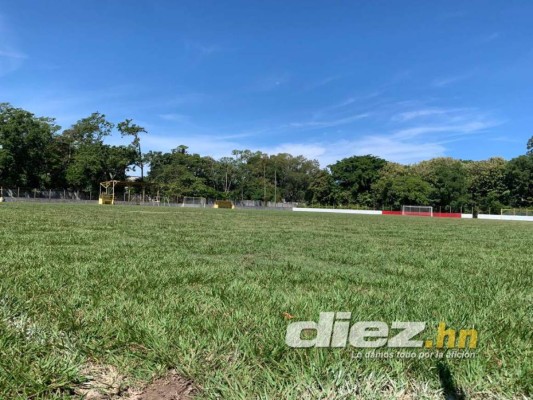 Gradería techada y cancha de primer nivel: Así será el estadio del Vida en el Campo Atlántida de La Ceiba