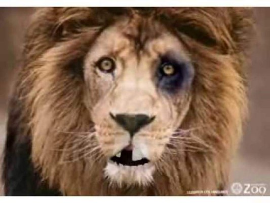 Olimpia cae ante Motagua y es atacado con divertidos memes