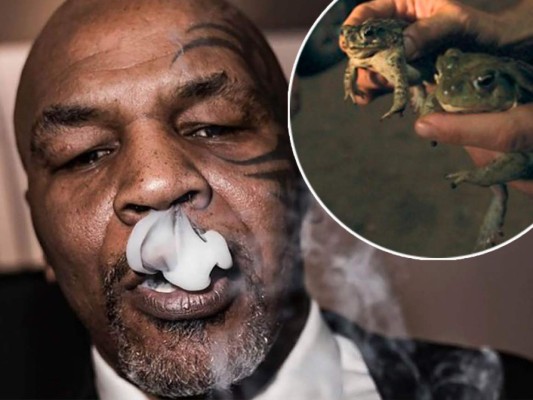 Mike Tyson reveló que fumó veneno de sapo y le cambió la vida: 'Es casi como si renacieras'&nbsp;&nbsp;