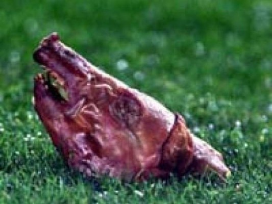 Las imágenes más impactantes en la historia del fútbol