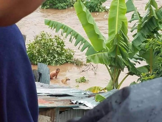 FOTOS: Caos y destrucción en Tegucigalpa por fuertes lluvias
