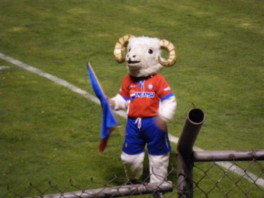 ¿Cuál te gusta más? Estas son las mascotas de los clubes de Centroamérica