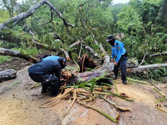¡Inundaciones, evacuaciones y rescates! Huracán Eta descarga su furia en territorio hondureño