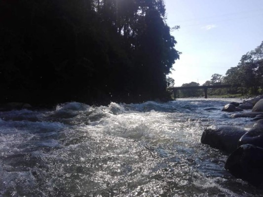 ¡Ríos limpios e irreconocibles! La otra cara de la pandemia del coronavirus en Honduras