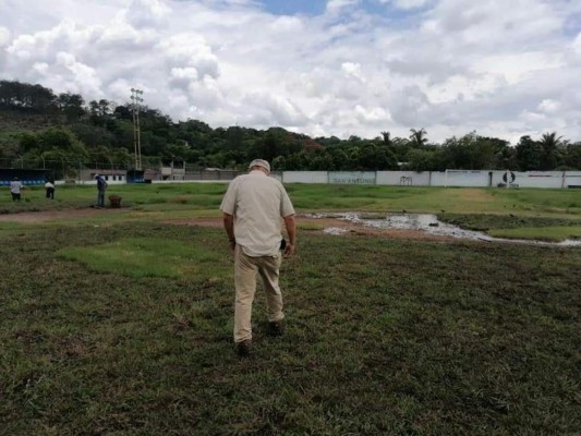 ¡Irreconocible! Así luce la cancha del Estadio Argelio Sabillón de Santa Bárbara