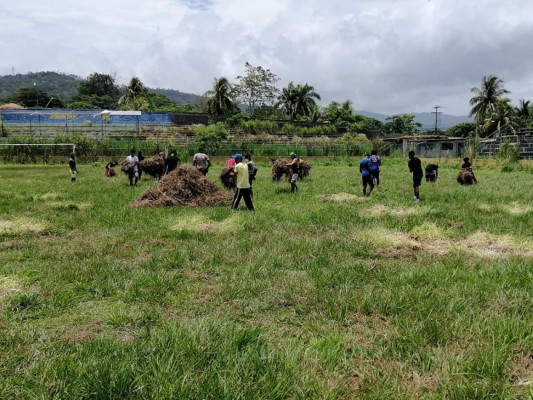 Jugadores del Tela FC dejan el balón a un lado y comienzan a limpiar el estadio Alfredo León Gómez