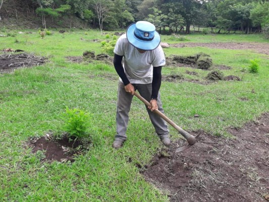 ¡Enorme cambio! Hace unos días lucía deplorable, hoy así luce la cancha del Argelio Sabillón