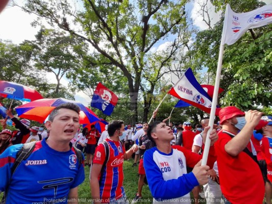 ¡Espectacular! Afición del Olimpia se desborda con banderazo al club y se acuerdan de Motagua