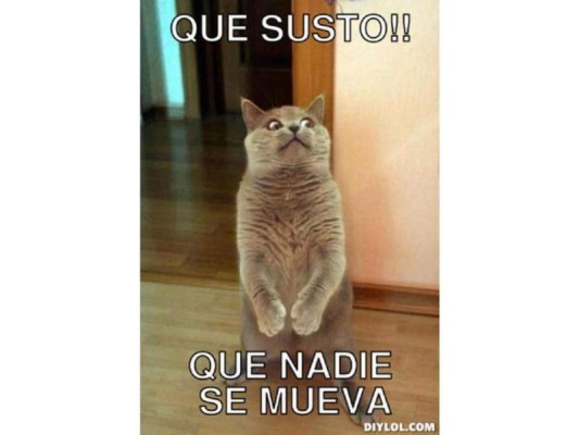 Los mejores Memes de la victoria de Panamá ante Trinidadn y Tobago