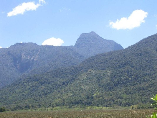 Las 13 cosas que los australianos deben saber de Honduras