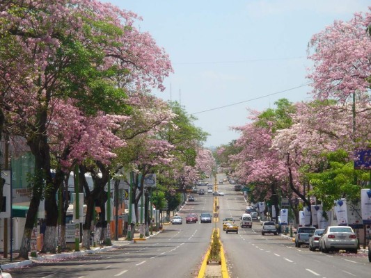 Conocé el Estadio de Villahermosa, la casa del Pumas Tabasco donde jugará Carlos Mejía