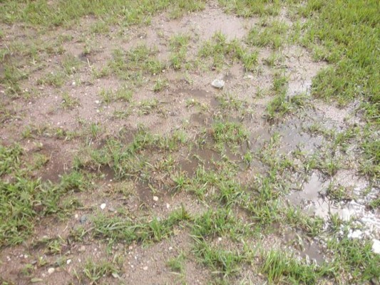 Así de deteriorada luce la cancha del estadio Francisco Martínez de Tocoa